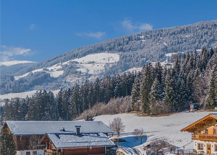 Apartamento Premium Almrauschedelweiss Hollersbach im Pinzgau