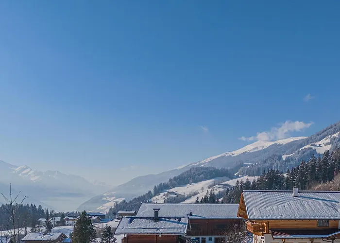 Premium Almrauschedelweiss * Hollersbach im Pinzgau